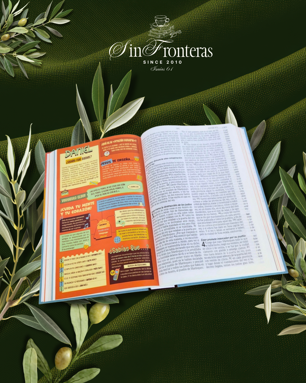 Biblia Promesas para niños RVR1960